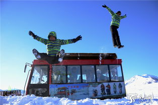 新疆喀纳斯 激情泼雪尽享雪中乐趣